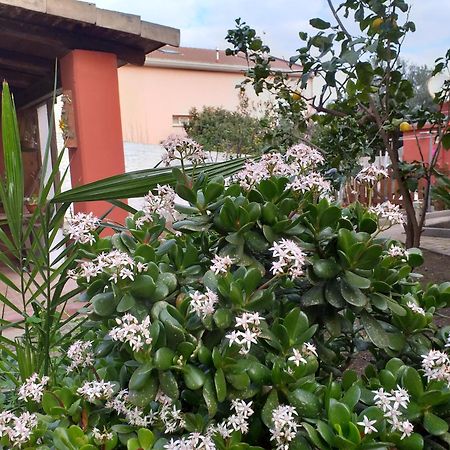 Apartamento I Due Ciuchini Sardinia Sassari Exterior foto