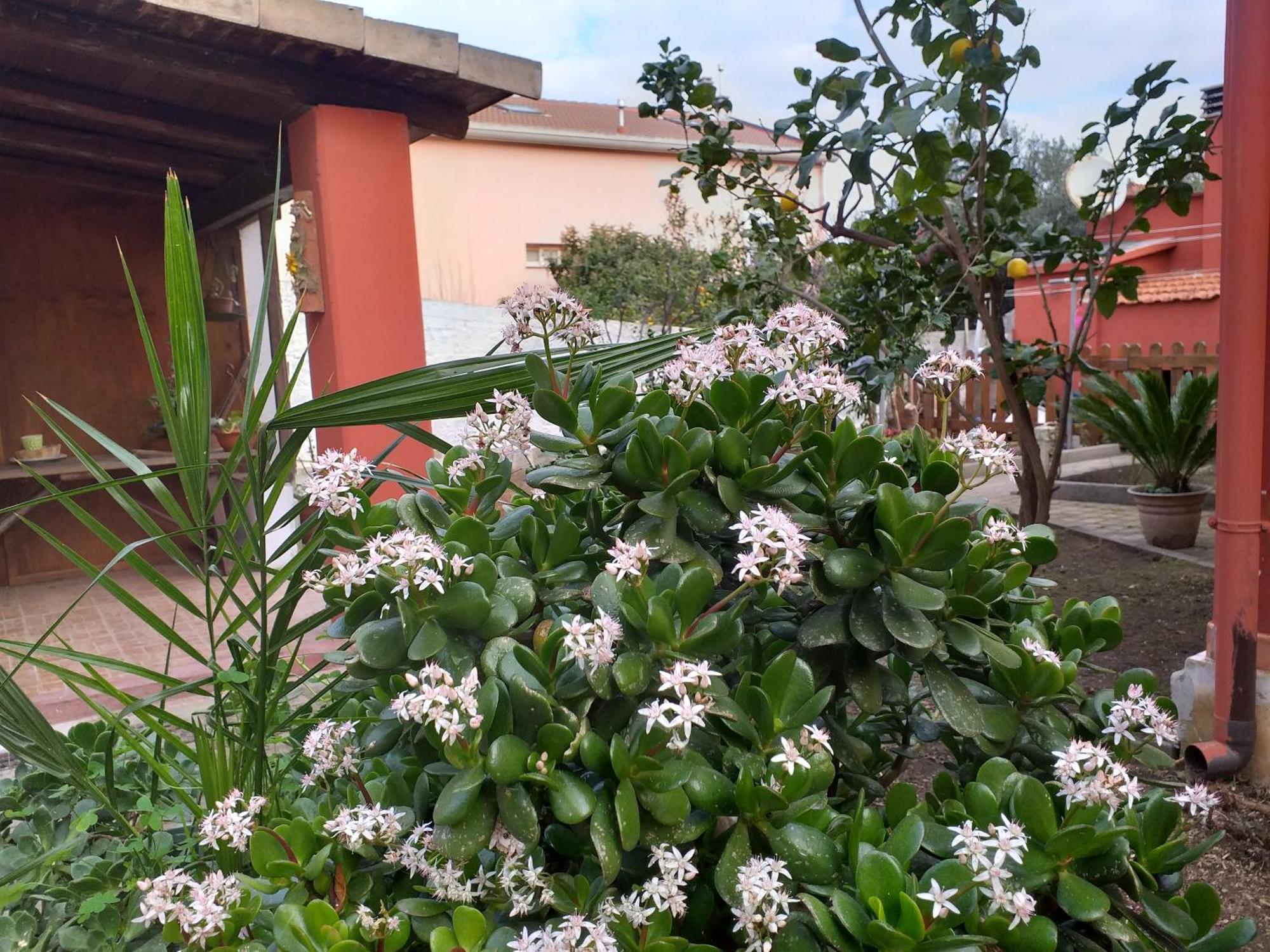 Apartamento I Due Ciuchini Sardinia Sassari Exterior foto
